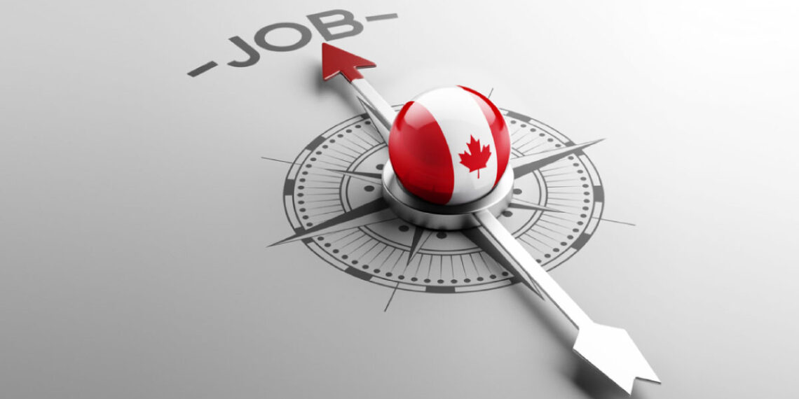 current-opening-cancity